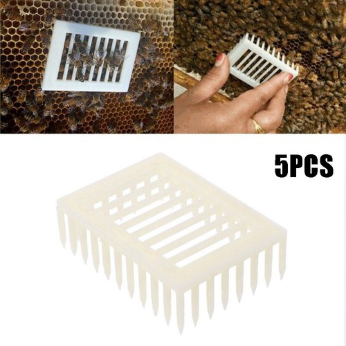 5pcs plastic queen - 5pcs, cage