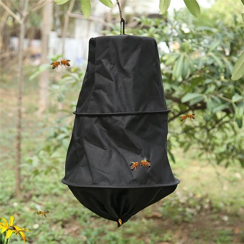 Beekeeper tool bee cage swarm - beekeeper,
