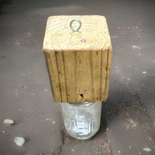 Homemade bee catcher - bee,