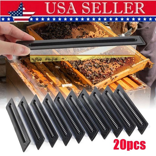 20pcs small hive beetle - hive,