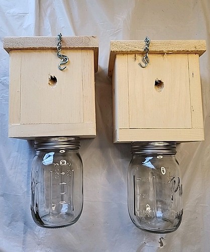 Carpenter bee trap set 2 - trap,