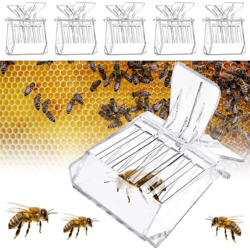 5pcs set beekeeping queen - 5pcs/set,