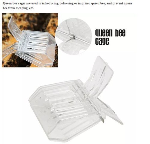 Pcs plastic queen bee - pcs,