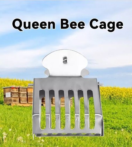 Pcs metal queen bee catcher - pcs,