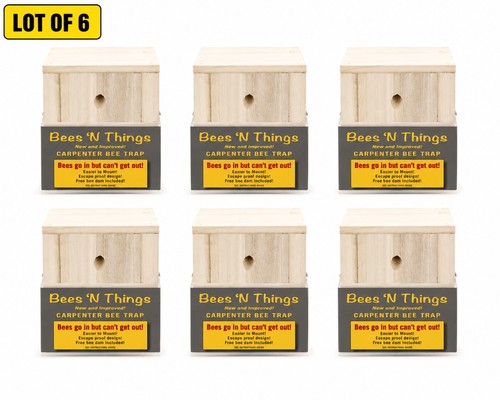 Carpenter bee trap outdoor - carpenter,