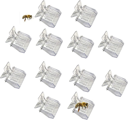 Pack bee queen cage - 12,