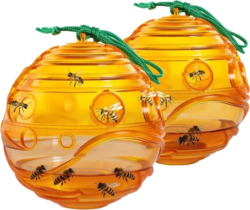 Pack wasp trap - wasp,