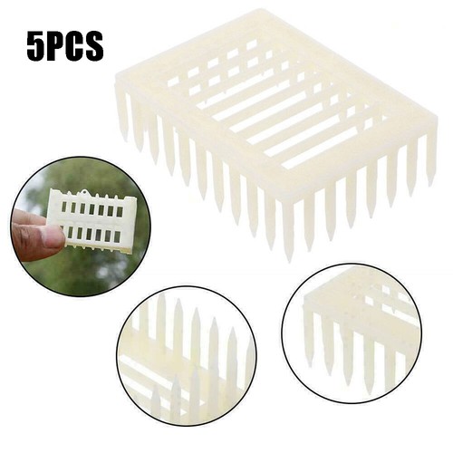 5pcs plastic queen marker - 5pcs,