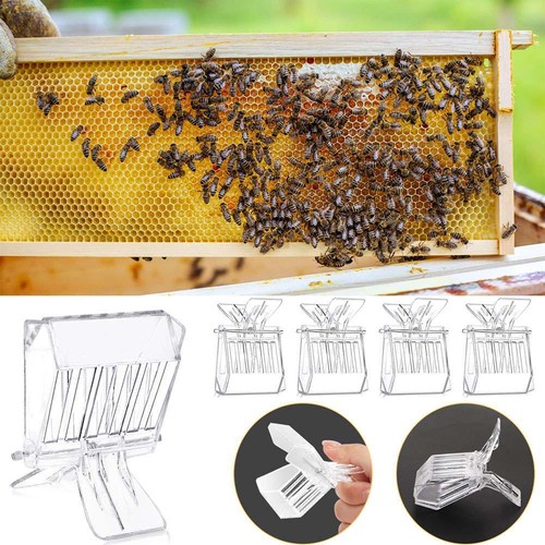 5pcs set clear - 5pcs/set, bee